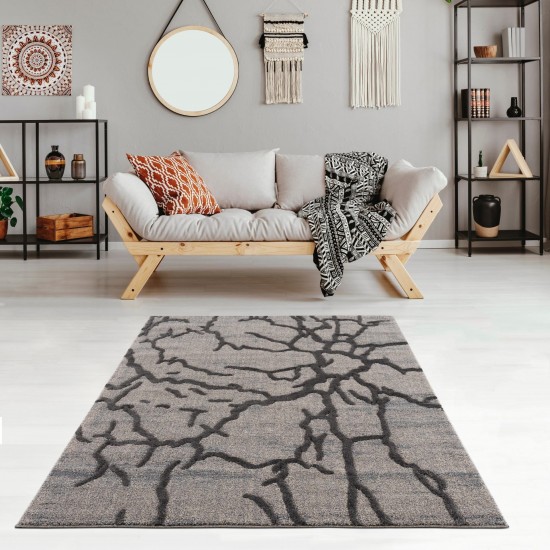 Amazon-Az10428-Gray-5.3 X 7.6 Area Rug