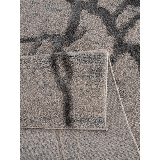 Amazon-Az10428-Gray-5.3 X 7.6 Area Rug