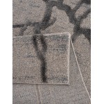 Amazon-Az10428-Gray-7.10 X 10.6 Area Rug