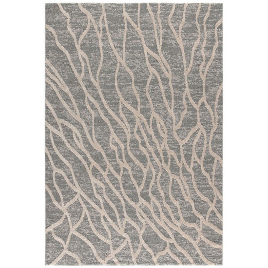 Amazon-Az10441-Gray-5.3 X 7.6 Area Rug