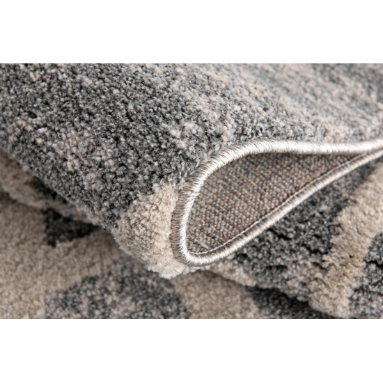 Amazon-Az10441-Gray-7.10 X 10.6 Area Rug