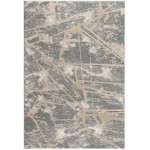 Amazon-Az11207-Grey-6.7X9.6-200X290 Area Rug