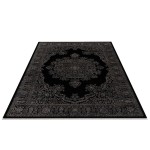 Beratti-Brt12025-Auden-6.6X9.6-200X290 Area Rug