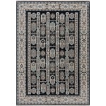 Nevada-Nvd11991-Reno-6.6X9.6-200X290 Area Rug