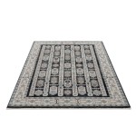 Nevada-Nvd11991-Reno-6.6X9.6-200X290 Area Rug