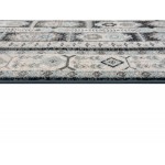 Nevada-Nvd11991-Reno-6.6X9.6-200X290 Area Rug