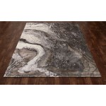 Titanium-Is_00_04_Gray-5.3 X 8.1 Area Rug