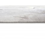 Titanium-Is_00_04_Gray-Runner 2.7 X 9.4 Runner Rug