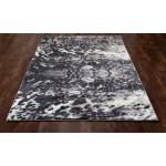 Titanium-Is_00_06_Gray-5.3 X 8.1 Area Rug