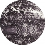 Titanium-Is_00_06_Gray-Round 7.10 Area Rug