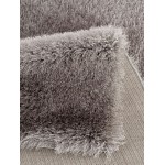 Zanca-Zn11394-Gray-5X7-150X213 Area Rug