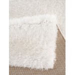 Zanca-Znc11395-White-5X7-150X213 Area Rug