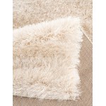 Zanca-Znc11397-Beige-5X7-150X213 Area Rug