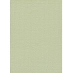 Couristan Cottages Bungalow Green Rug 2' x 3'