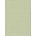 Couristan Cottages Bungalow Green Rug 3' x 5'