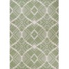 Couristan Dolce Botswana Juniper Rug 2'3" x 7'10"