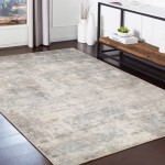 Pasargad Home Beverly Collection Grey Bamboo Silk Area Rug 6'0" X 9'0"