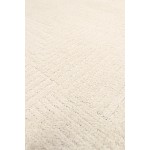 Pasargad Home Sutton Collection Area Rug 4'0" X 6'0", Ivory