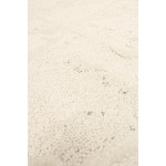 Pasargad Home Sutton Collection Ivory/Grey Area Rug 8'0" X 10'0"