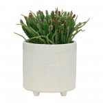 S/2 6/8" Textured Planters, Shiny White