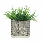 S/2 Ceramic 6/8" Planter W/ Saucer, Beige, Dense Lines