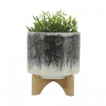 Cer, 8" Snakeskin Planter W/ Stand, Blue