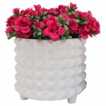 Por, S/2 10/12" Spikey Footed Planter, White