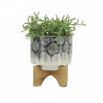 Cer, 5" Snakeskin Planter W/ Stand, Blue