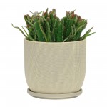 8" Mesh Planter W/ Saucer, Sage