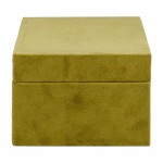 Wood, S/2 10/12" Box W/ Medallion, Olive/gold