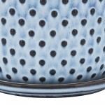 Ceramic 6" Dotted Planter W/ Saucer, Blue