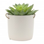 7", Dotted Hanging Planter, White