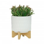 Ceramic S/2 8/10" Planter On Wooden Stand, White