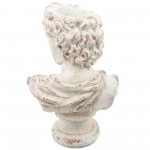 Resin, 31"h David Bust, Antique White