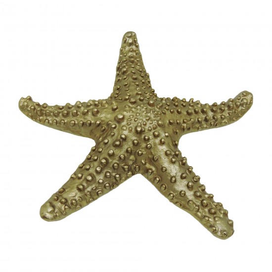 Metal,15",texture Star Fish Deco,champagne