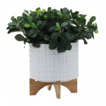 10" Dotted Planter W/ Stand, White