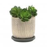 S/2 5/6" Mesh Planter W/ Saucer, Gray