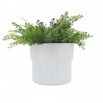 Cer, S/3 7/9/10"d Mushroom Planters, White