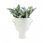 Cer, 10"h Vase With Handles, White