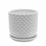 6" Tiny Dots Planter W/ Saucer, White