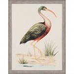 Paragon Water Bird I