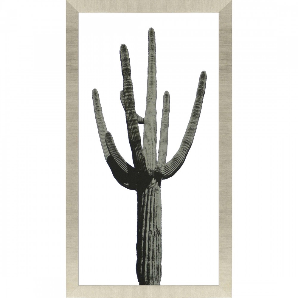 Paragon Saguaro I