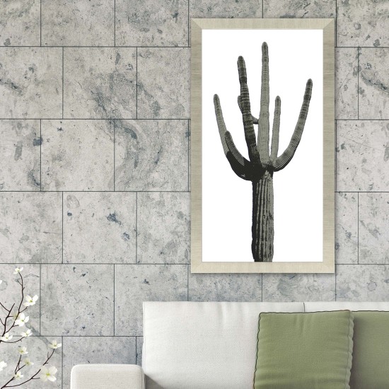 Paragon Saguaro I