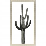 Paragon Saguaro III