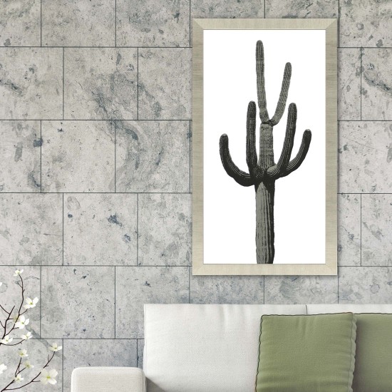 Paragon Saguaro III