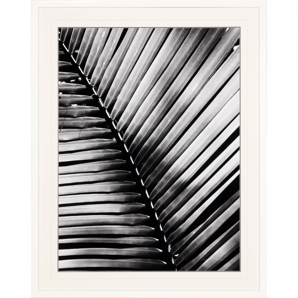 Paragon Palm Frond I