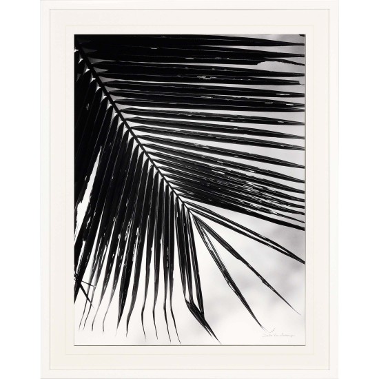 Paragon Palm Frond II
