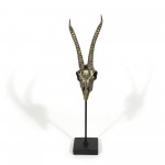 Mazi Decorative Skull
