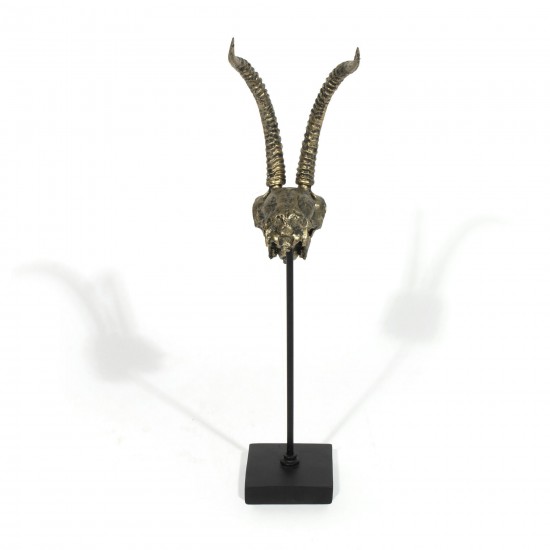 Mazi Decorative Skull
