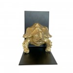 Gold Tortoise Polystone And Metal Bookends Set Of 2